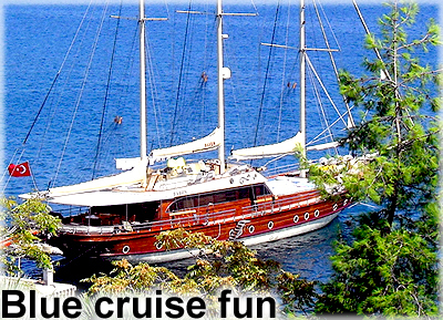 blue cruise tours